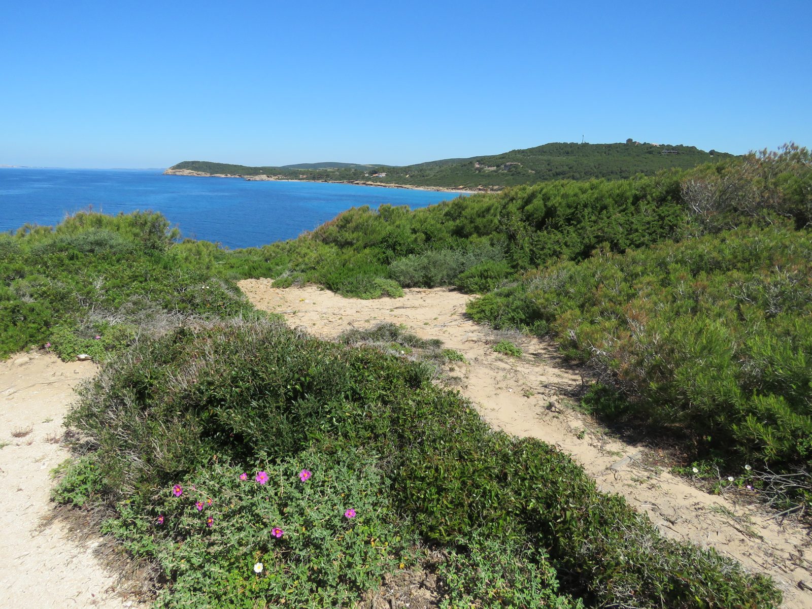 Promontorio costiero della Pineta di Candiani, Sant'Anna Arresi